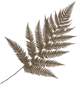 Wisdom_in_the_woods-leaf Wisdom_in_the_woods-leaf