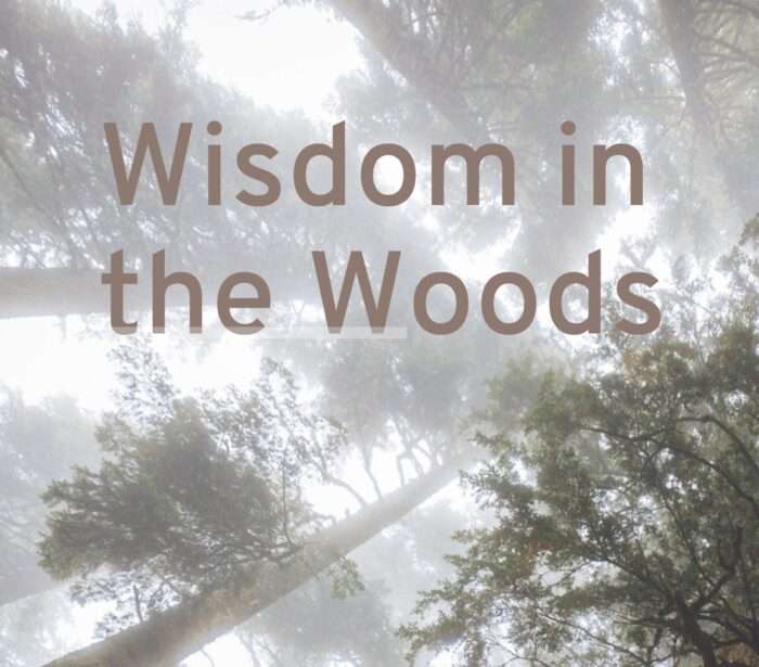 Wisdom_in_the_Woods